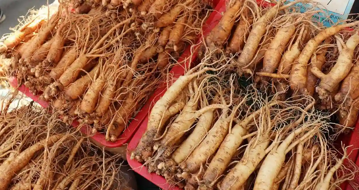 Ginseng at Yangnyeong Market